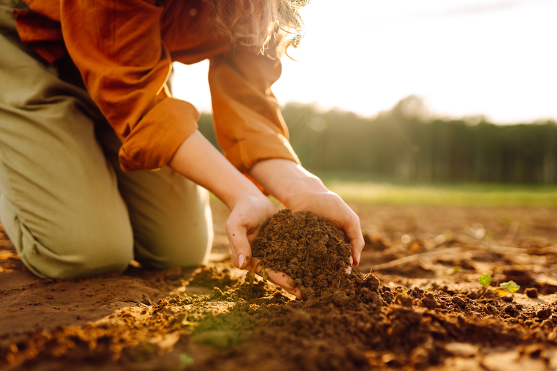 Healthy agricultural field